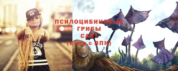 spice Алексеевка